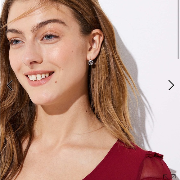 Loft winter glum stud earring set - Picture 3 of 13